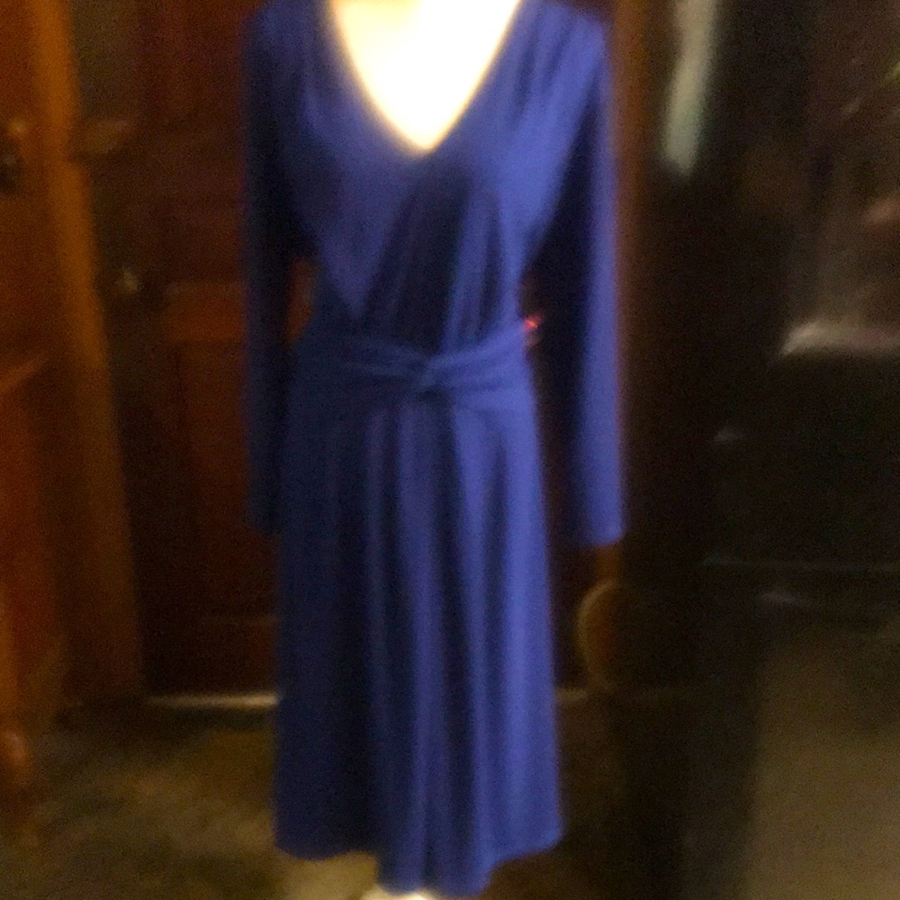 Elegant Blue Long Sleeve Dress